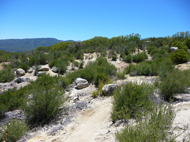 hurkey-creek-51
