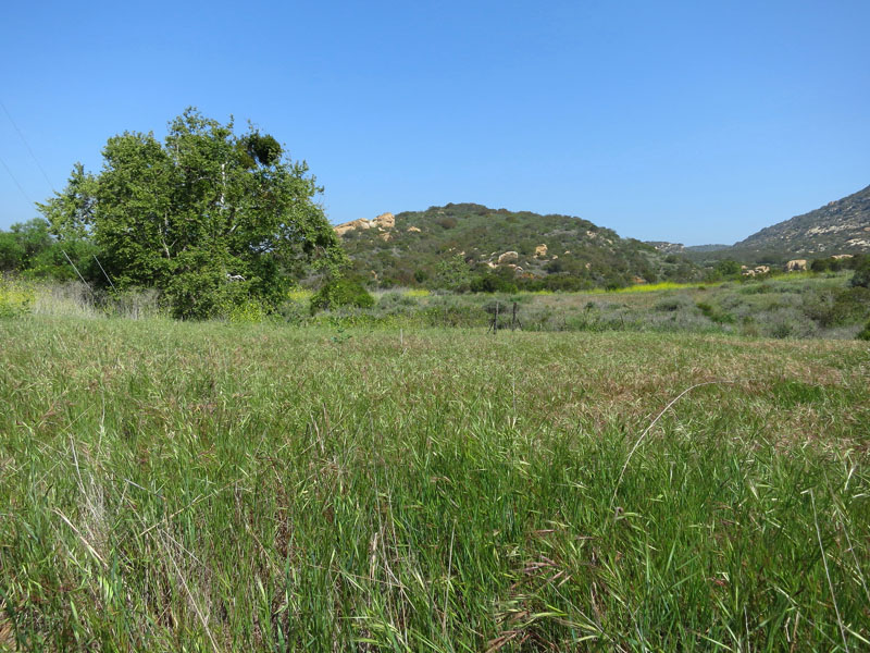 irvine_open_space_IMG_0072