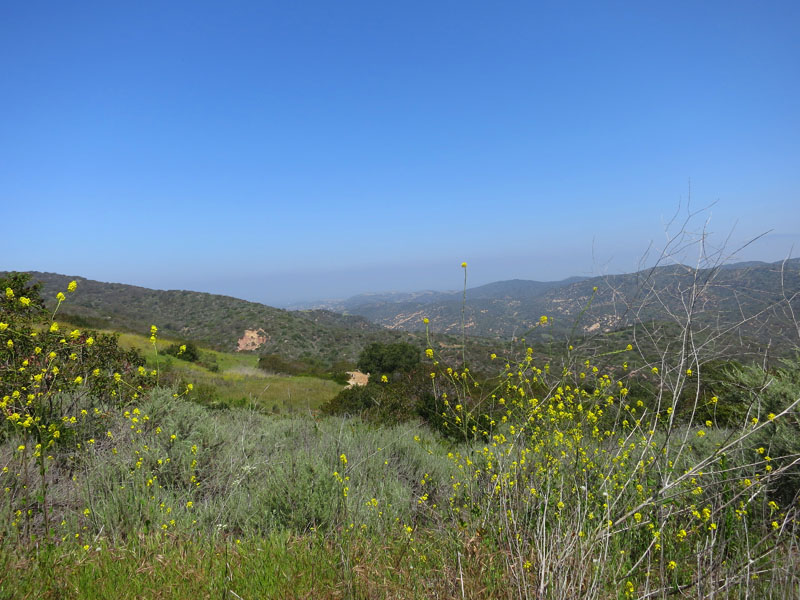 irvine_open_space_IMG_0076