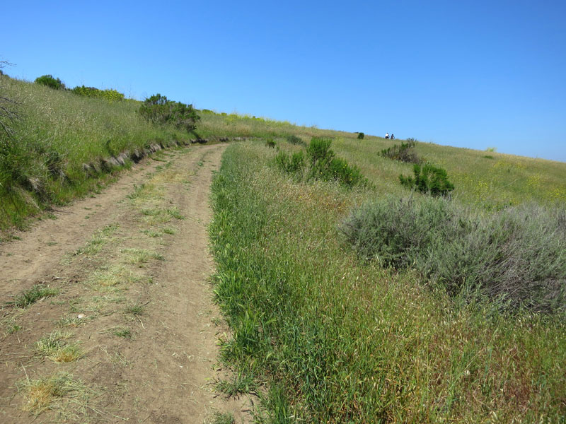 irvine_open_space_IMG_0077