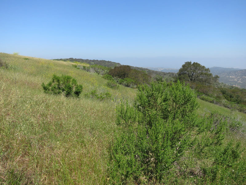 irvine_open_space_IMG_0078