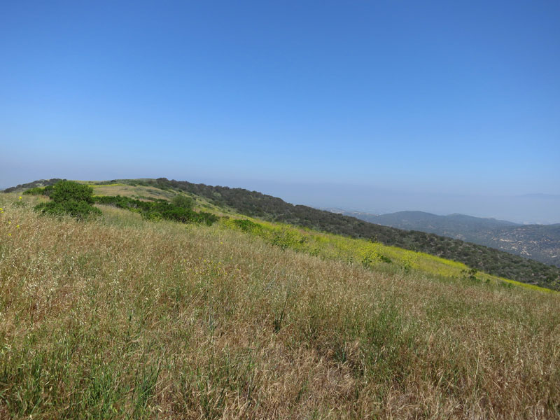 irvine_open_space_IMG_0079