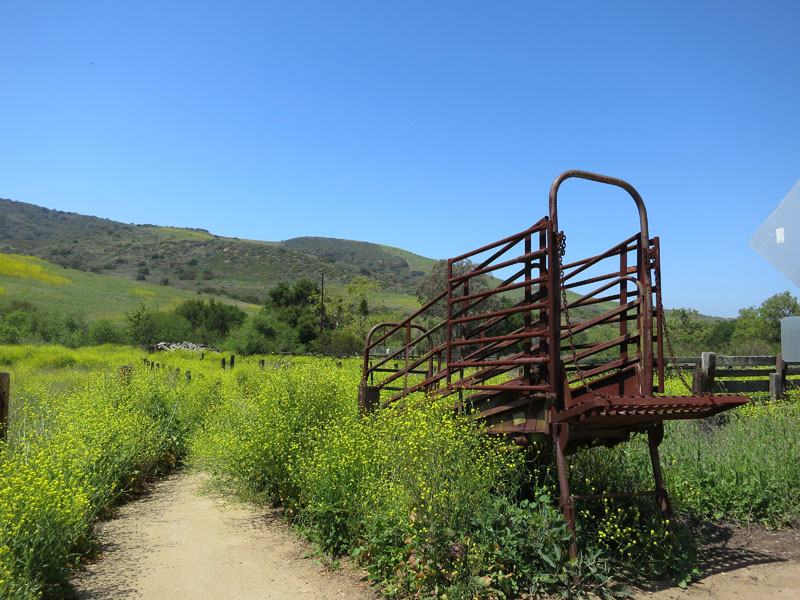 irvine_open_space_IMG_0080