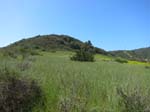 irvine_open_space_IMG_0074