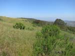 irvine_open_space_IMG_0078