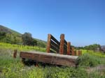 irvine_open_space_IMG_0081