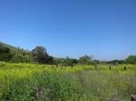irvine_open_space_IMG_0082