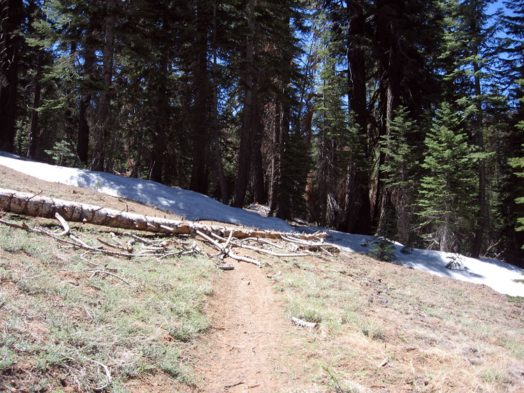 cannell-trail-kernville-046