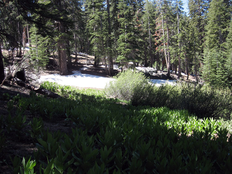 cannell-trail-kernville-047