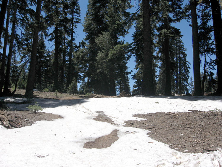 cannell-trail-kernville-049