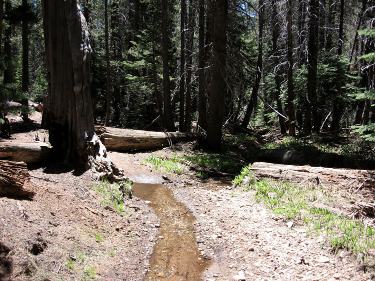 cannell-trail-kernville-054