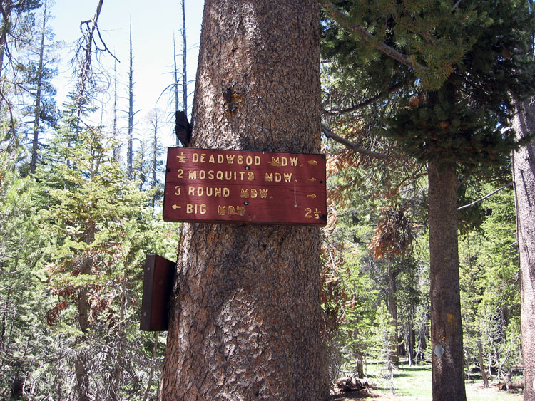 cannell-trail-kernville-055