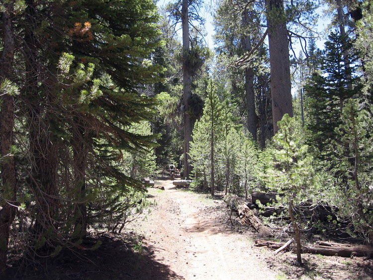cannell-trail-kernville-056