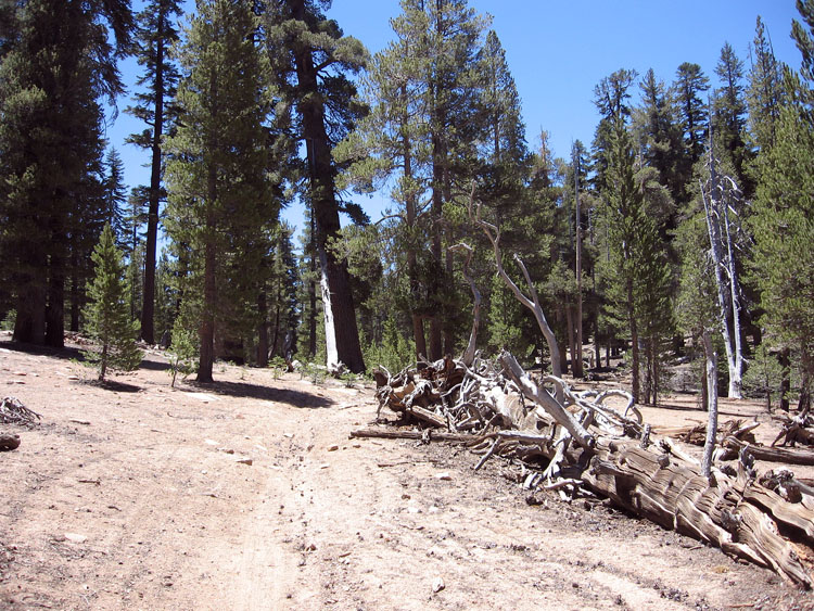 cannell-trail-kernville-057