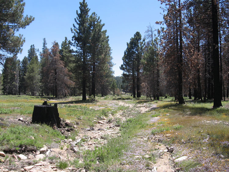 cannell-trail-kernville-106