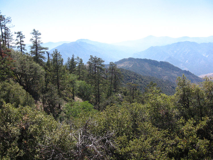 cannell-trail-kernville-151