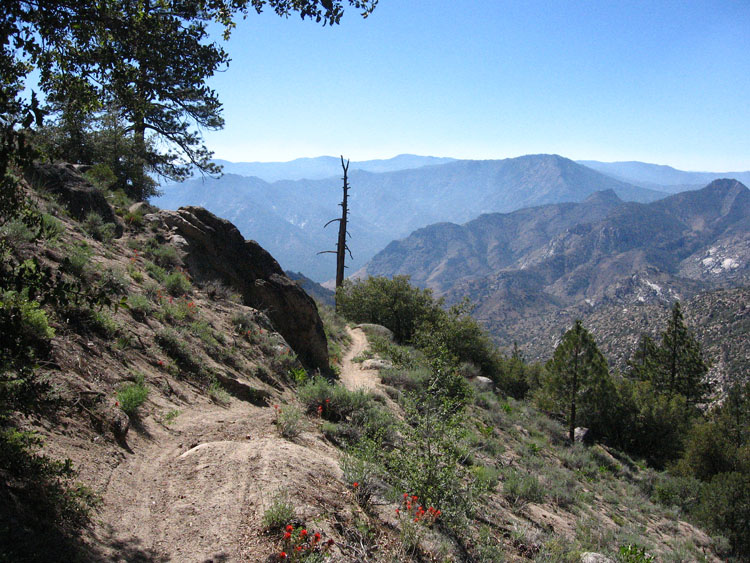 cannell-trail-kernville-152