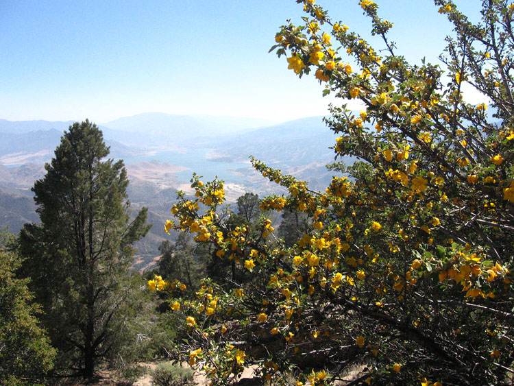 cannell-trail-kernville-154