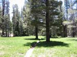 cannell-trail-kernville-067