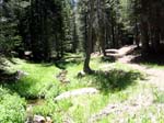 cannell-trail-kernville-070