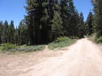 cannell-trail-kernville-071