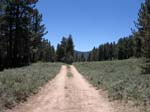 cannell-trail-kernville-072
