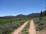 cannell-trail-kernville-073