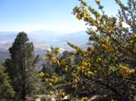 cannell-trail-kernville-154