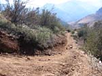 cannell-trail-kernville-168