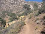 cannell-trail-kernville-171