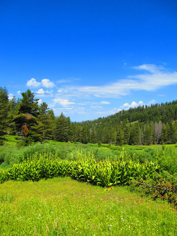 cannell_trail_IMG_1776