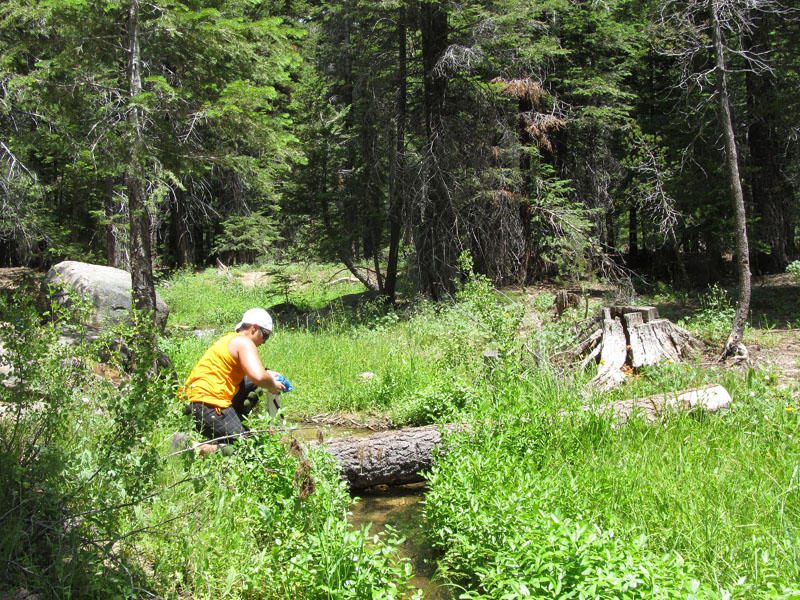 cannell_trail_IMG_1816