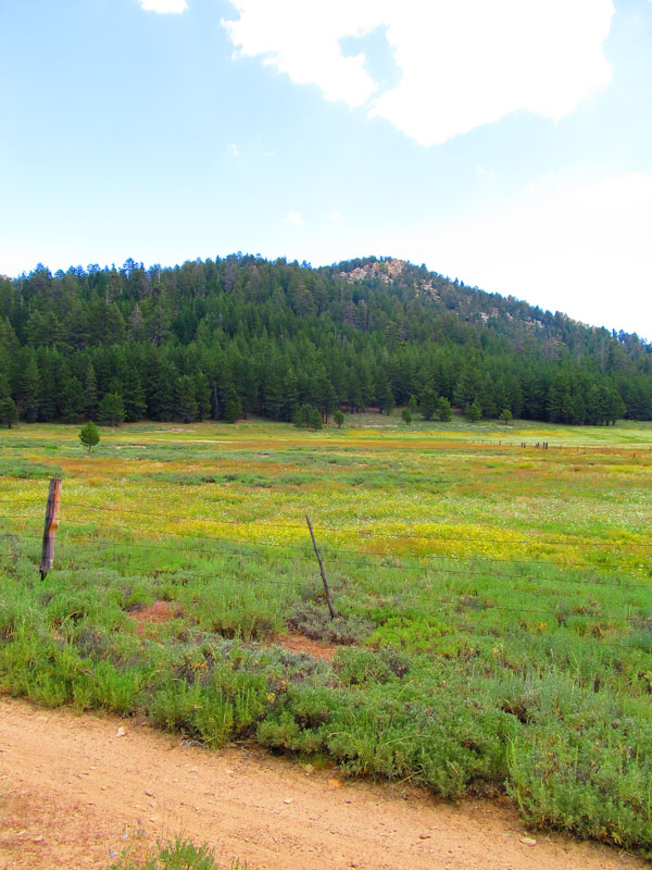 cannell_trail_IMG_1826