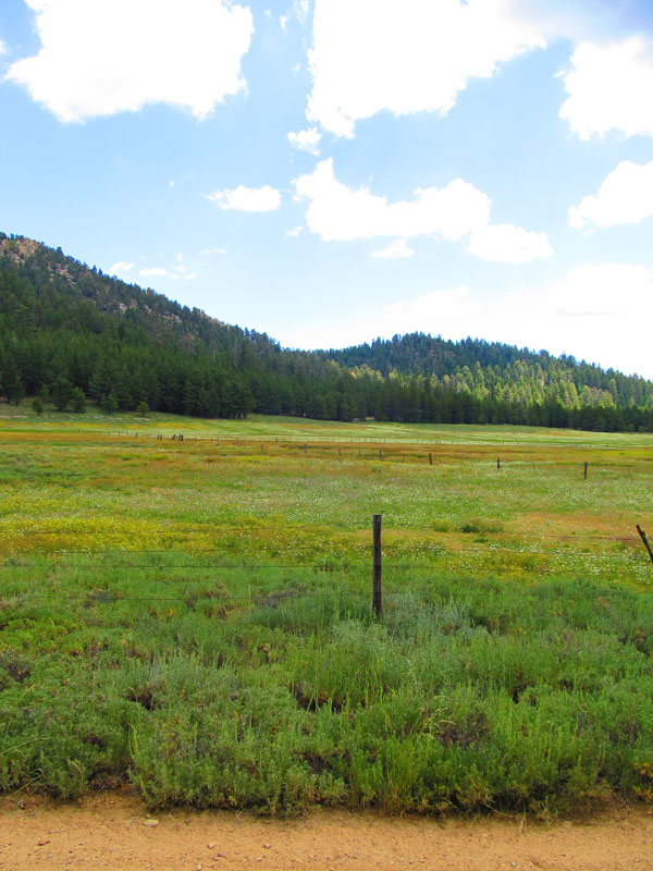 cannell_trail_IMG_1827