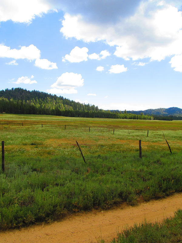 cannell_trail_IMG_1828