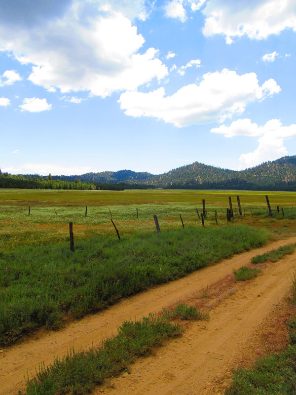 cannell_trail_IMG_1829