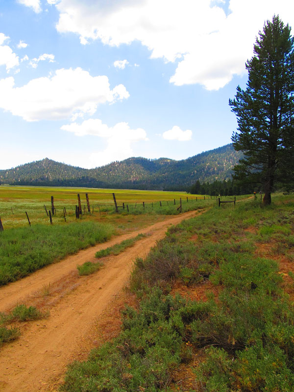 cannell_trail_IMG_1830