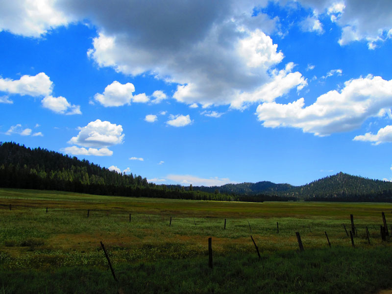cannell_trail_IMG_1831