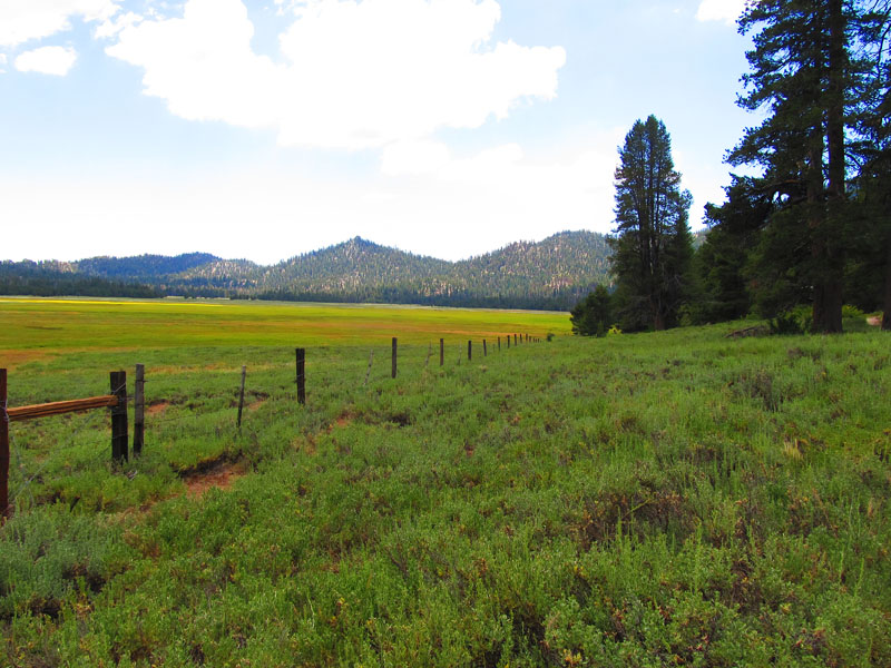 cannell_trail_IMG_1836