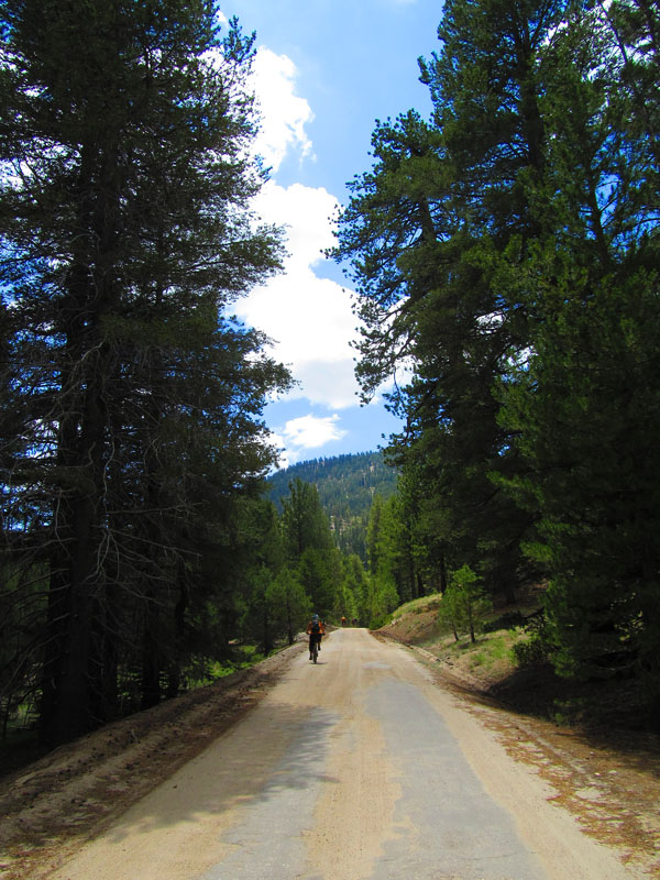 cannell_trail_IMG_1837