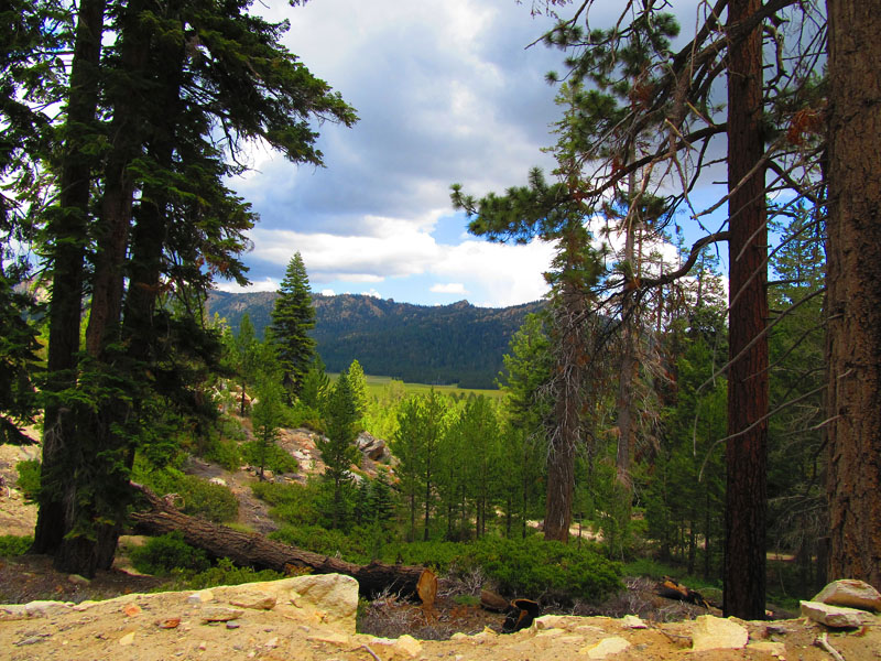 cannell_trail_IMG_1842