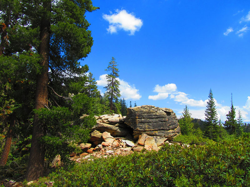 cannell_trail_IMG_1846