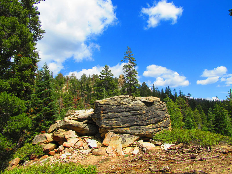 cannell_trail_IMG_1847