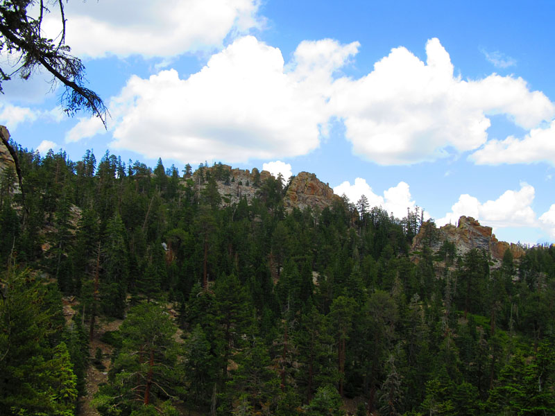 cannell_trail_IMG_1849