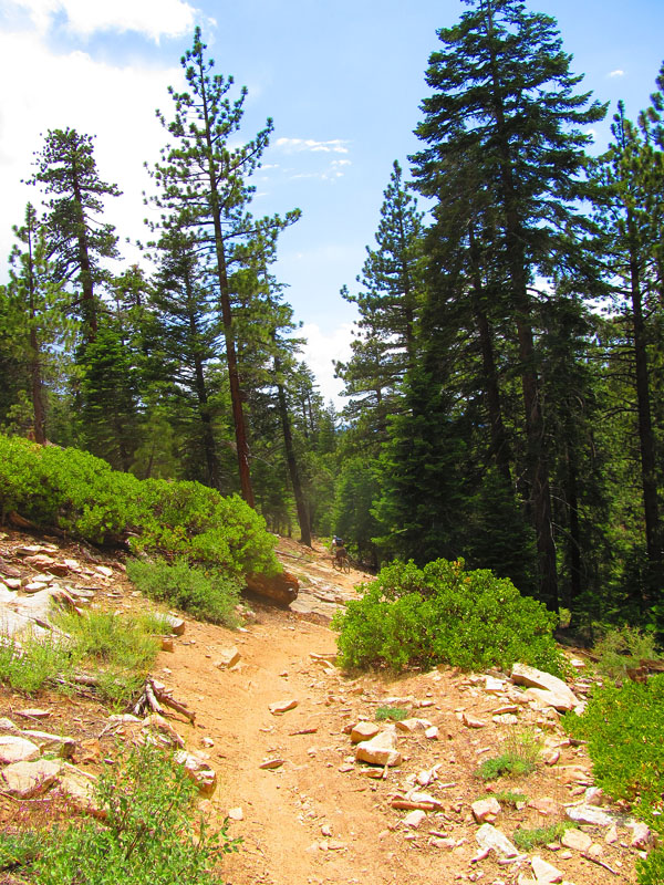cannell_trail_IMG_1853