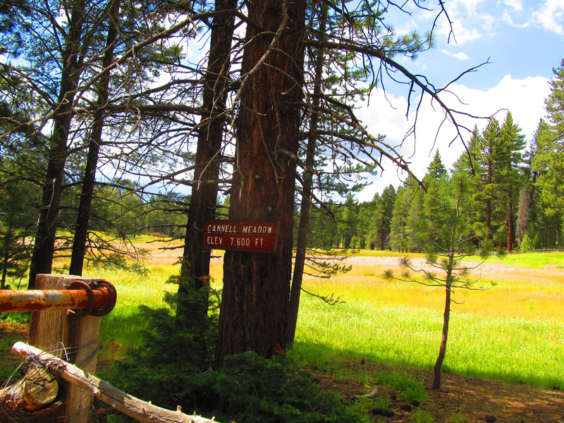cannell_trail_IMG_1855