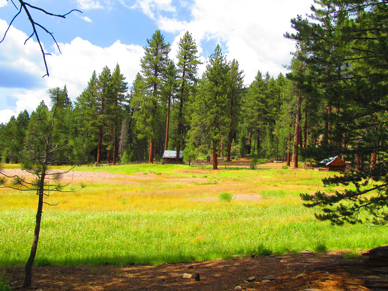 cannell_trail_IMG_1856