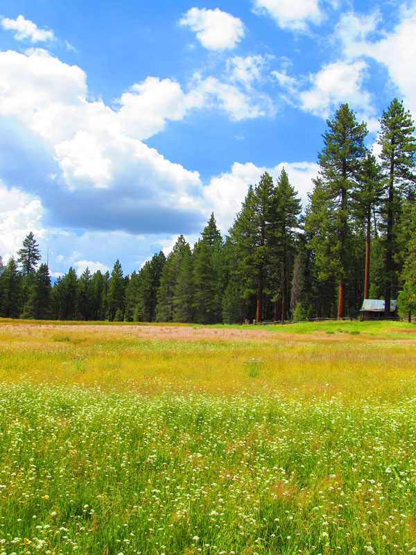 cannell_trail_IMG_1860