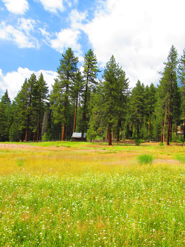 cannell_trail_IMG_1861