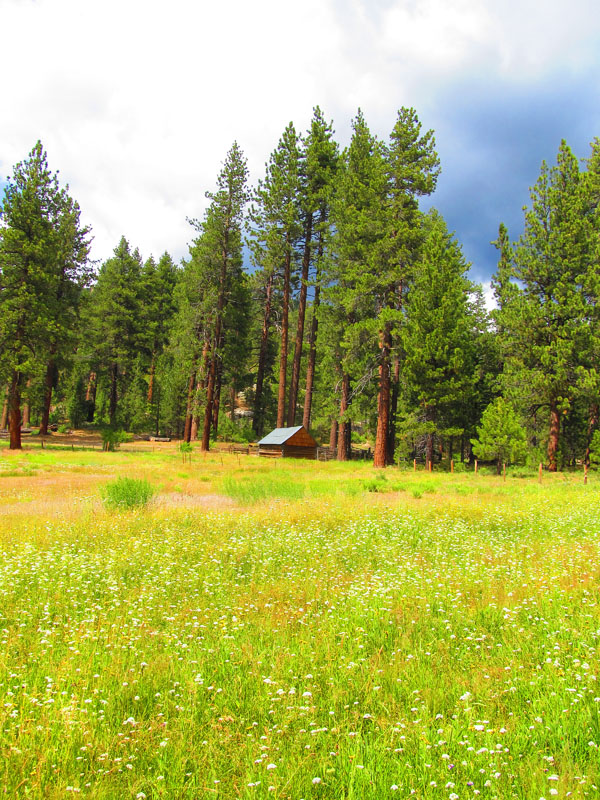 cannell_trail_IMG_1862